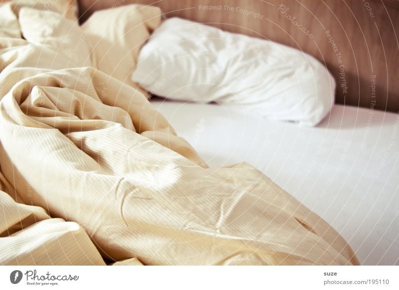 Again, because it was so beautiful ... Bed Bedroom Cuddly Divide Cushion Bedclothes Folds Sheet Rag Wrinkles Hotel Blanket Quilt Colour photo Subdued colour