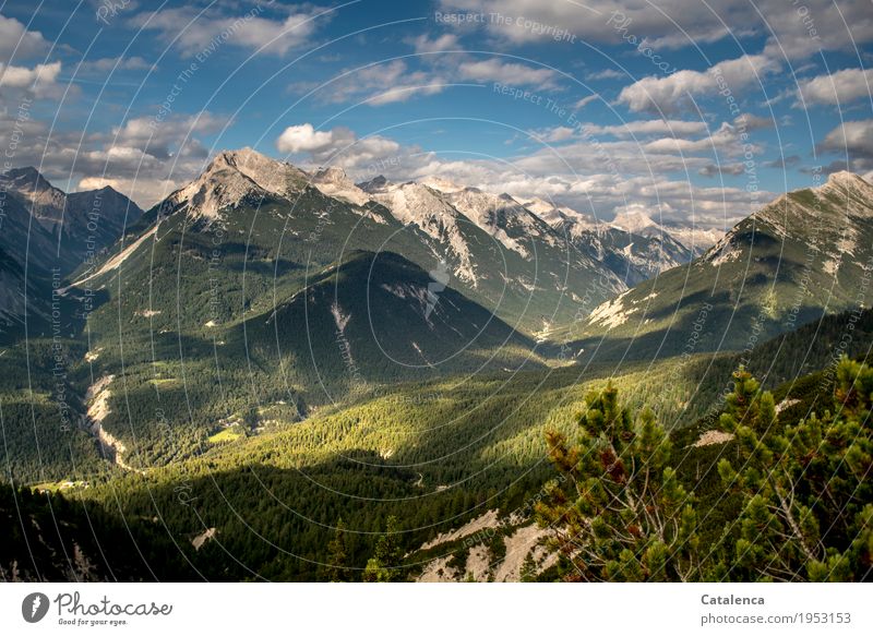 Between valleys, alpine landscape Freedom Mountain Hiking Nature Landscape Plant Sky Clouds Horizon Summer mountain pine Alps Karwendelgebirge Observe Discover