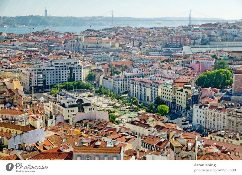 open space Environment Sky Horizon Tree River bank Río Tajo Lisbon Portugal Town Capital city Downtown Old town House (Residential Structure) Places