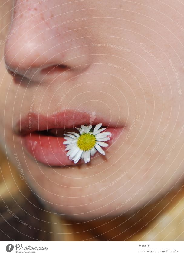 flower child Beautiful Human being Feminine Young woman Youth (Young adults) Face Mouth Lips 1 18 - 30 years Adults Nature Spring Summer Beautiful weather