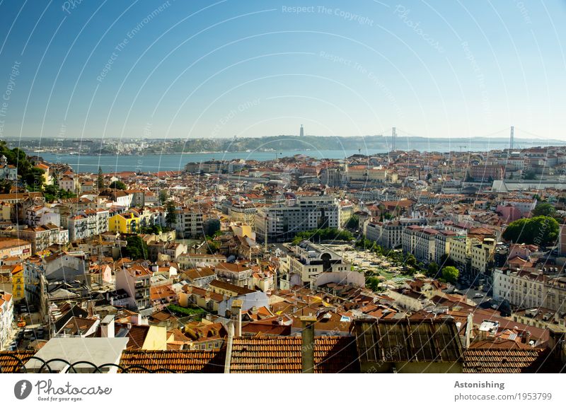 Lisbon from above Environment Nature Sky Cloudless sky Horizon Summer Weather Beautiful weather Tree River Portugal Town Capital city Downtown Old town
