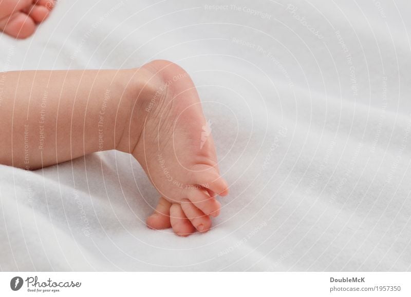 Baby foot with little toes Human being Skin Legs feet Toes 1 0 - 12 months Crawl Lie Small Naked Cute Pink White Joy Force Brave Determination Movement Energy