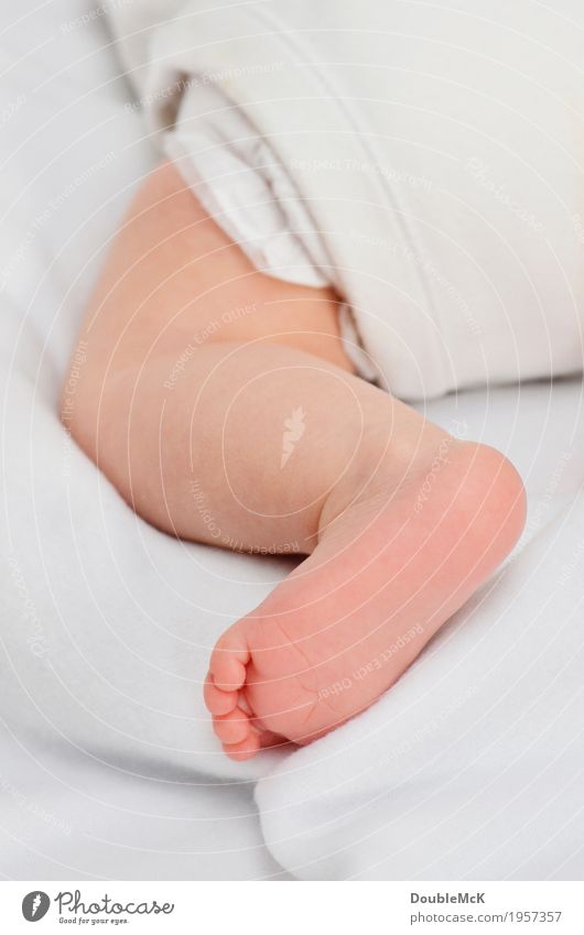 Baby legs Human being Skin Legs feet Toes 1 0 - 12 months Movement Crawl Lie Small Naked Cute Warmth Pink White Joy Energy Infancy Joie de vivre (Vitality)