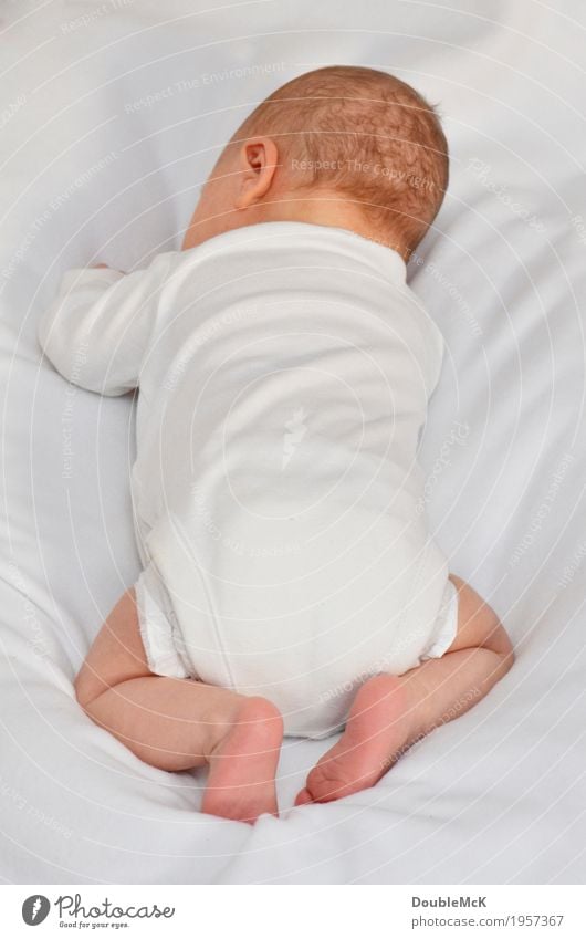 Back of the head and back of a baby lying on its stomach Human being Baby Body Skin Head Legs feet 1 0 - 12 months Relaxation Kneel Crawl Lie Cuddly Small Soft