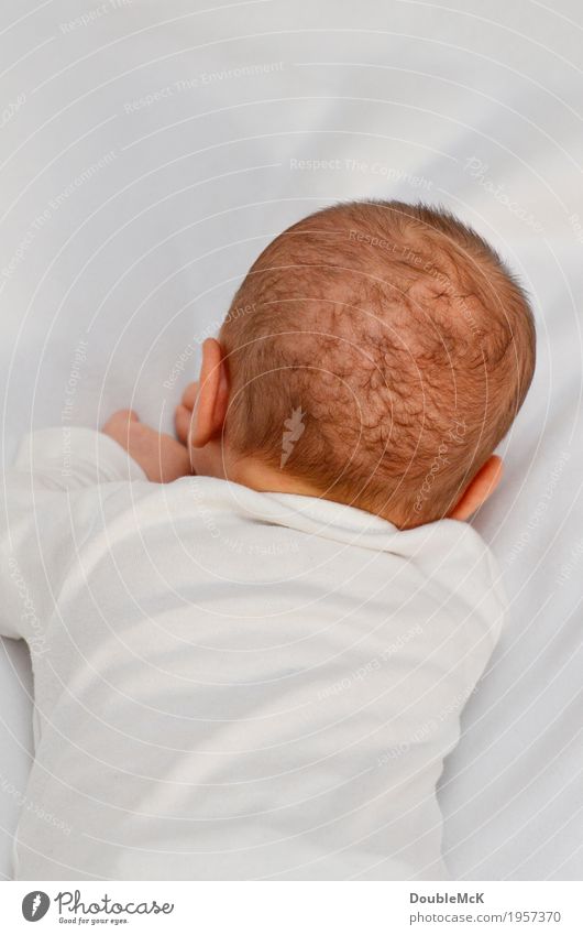 The back of a baby's head lying on its stomach Human being Baby Head Hair and hairstyles 1 0 - 12 months Lie Cuddly Small Soft Pink White Calm Reluctance