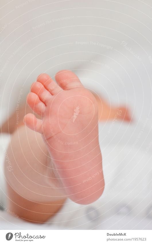 Baby foot with little toes Human being Skin feet Toes 1 0 - 12 months Movement Lie Small Naked Cute Warmth Soft Pink White Moody Joy Contentment