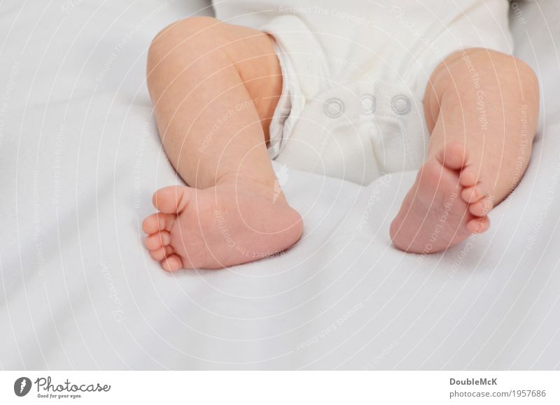 Baby legs on white blanket Human being Skin Legs feet Toes 1 0 - 12 months Lie Small Naked Warmth Pink White Joy Contentment Safety (feeling of) Emotions