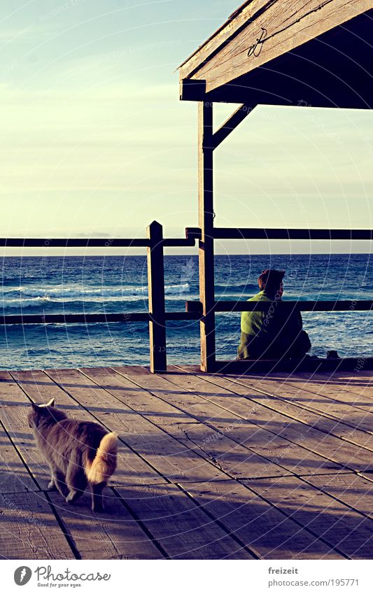 A house by the sea Happy Relaxation Vacation & Travel Waves Coast Ocean Cat 1 Animal Wood Authentic Simple Safety (feeling of) Calm Wanderlust Meditative