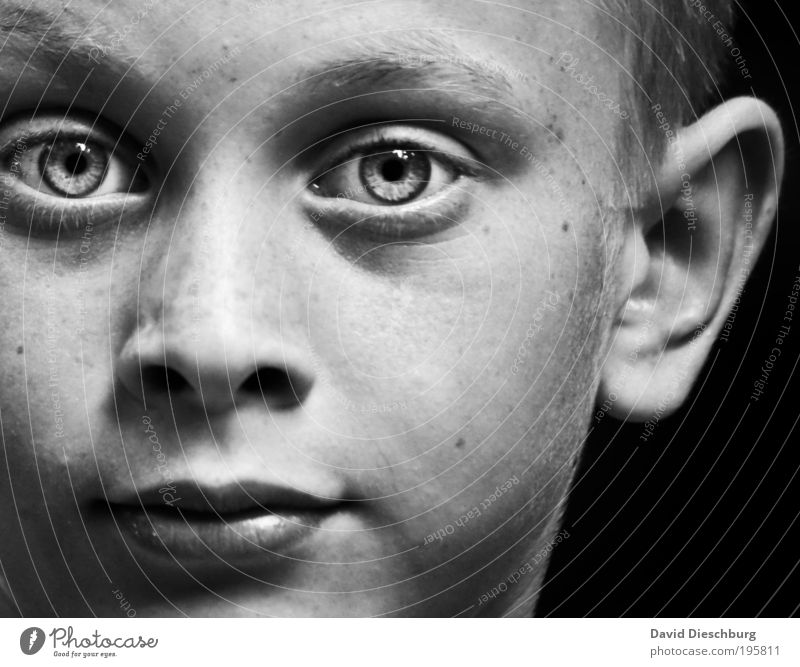 daydreamer Human being Boy (child) Infancy Skin Head Face Eyes Ear Nose Mouth Lips 1 8 - 13 years Child Authentic Pupil Black & white photo Contrast