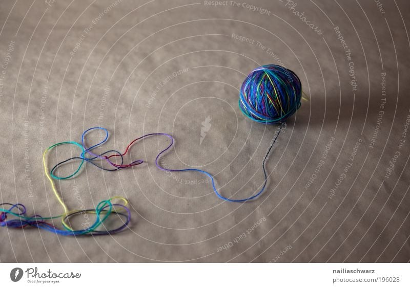 cat toys Wool Ball of wool String Esthetic Beautiful Blue Brown Multicoloured Pure Colour photo Interior shot Studio shot Deserted Copy Space left Day