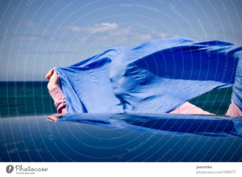 profile wind trousers Summer vacation Sun Ocean 1 Human being Beautiful weather Wind Gale Scarf Authentic Happiness Funny Crazy Blue Joie de vivre (Vitality)