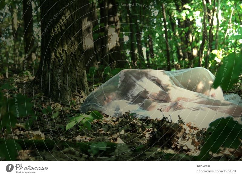 forest spirit Feminine Body Skin Nature Earth Sunlight Summer Beautiful weather Warmth Plant Tree Forest Cloth Blonde Long-haired To enjoy Lie Looking Sleep