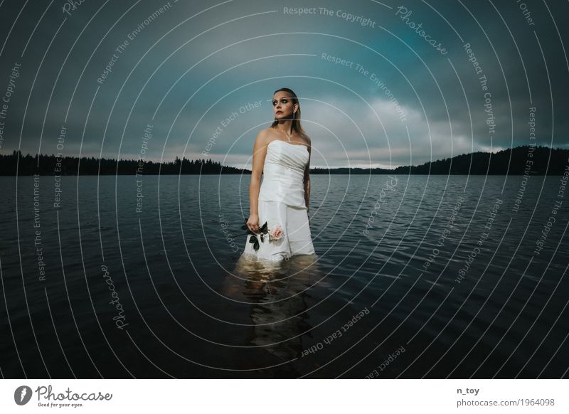 Divorce photo - Sad Bride Wedding Feminine Young woman Youth (Young adults) 1 Human being 18 - 30 years Adults Clouds Autumn Forest Alps Lake Wedding dress