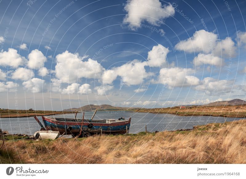 Big Brother Nature Landscape Plant Sky Clouds Beautiful weather Meadow Island Ireland Fishing boat Rowboat Lie Old Blue Brown White Horizon Idyll Wreck