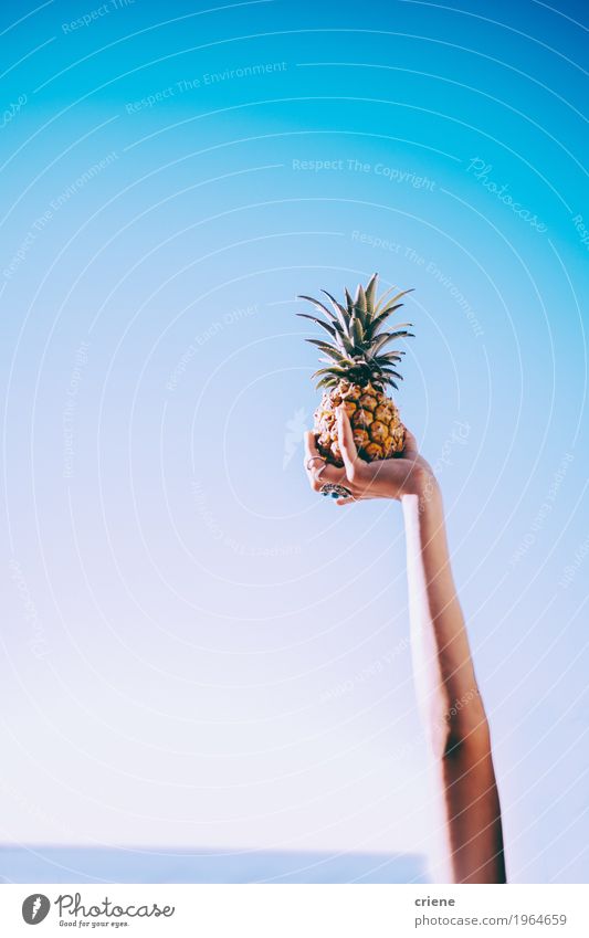 Close-up of hand holding pineapple in blue sky Food Fruit Eating Lifestyle Joy Beautiful Healthy Eating Summer Summer vacation Sun Sunbathing Feminine Hand Sky