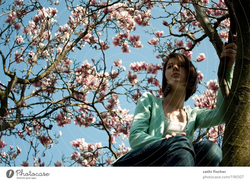 spring fever Contentment Freedom Human being Feminine Young woman Youth (Young adults) 1 Nature Cloudless sky Spring Beautiful weather Tree Blossom Jeans Jacket