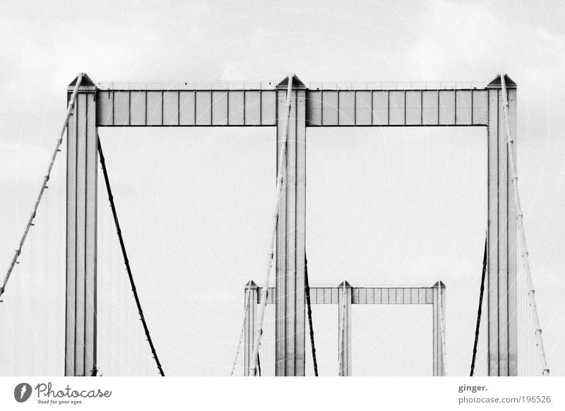 Rodenkirchen Bridge Cologne Manmade structures Architecture Traffic infrastructure Motoring Esthetic Large Long Highway Suspension bridge wide-spanned