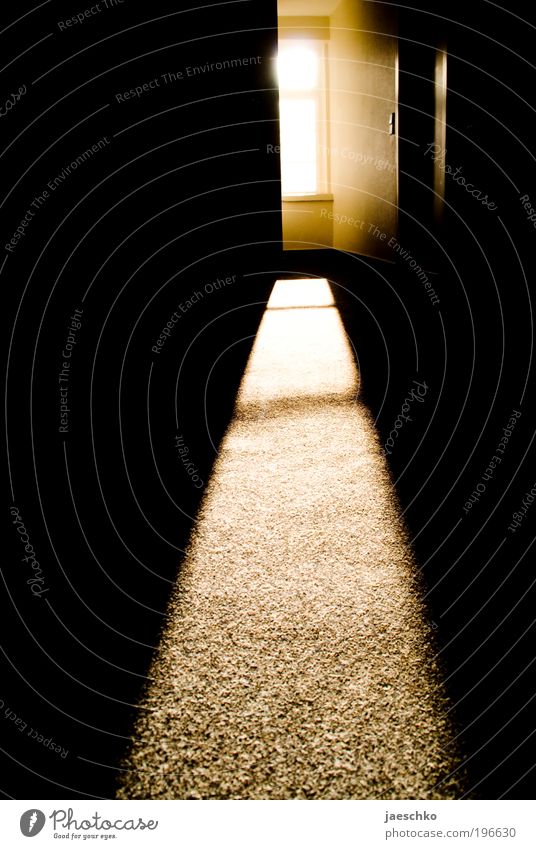 I want out! Sun Window Door Hallway Esthetic Dark Curiosity Dream Grief Death Loneliness Claustrophobia Mysterious Hope Idea Inspiration Addiction Bright spot