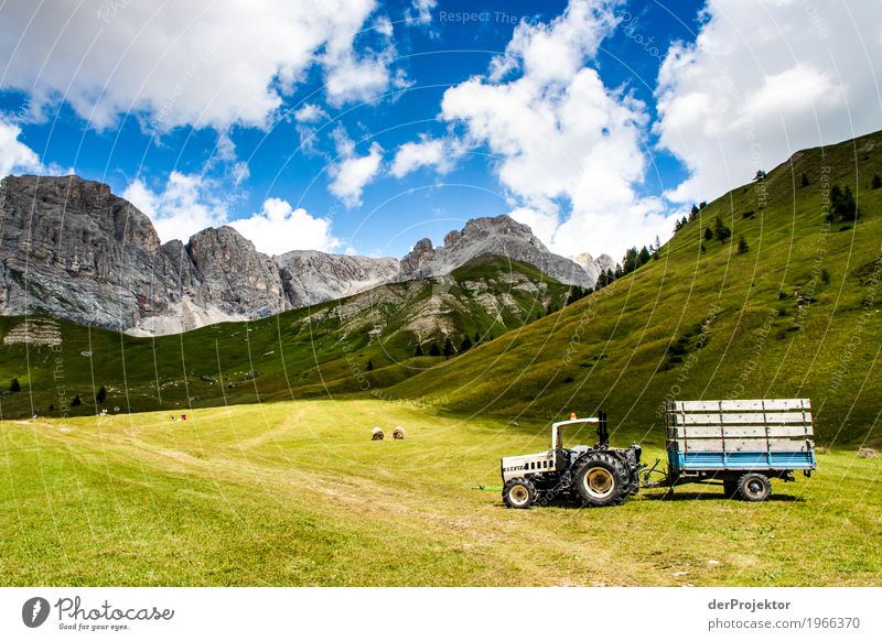 Tractor with panorama in the Dolomites Central perspective Deep depth of field Sunbeam Sunlight Light (Natural Phenomenon) Silhouette Contrast Shadow Day