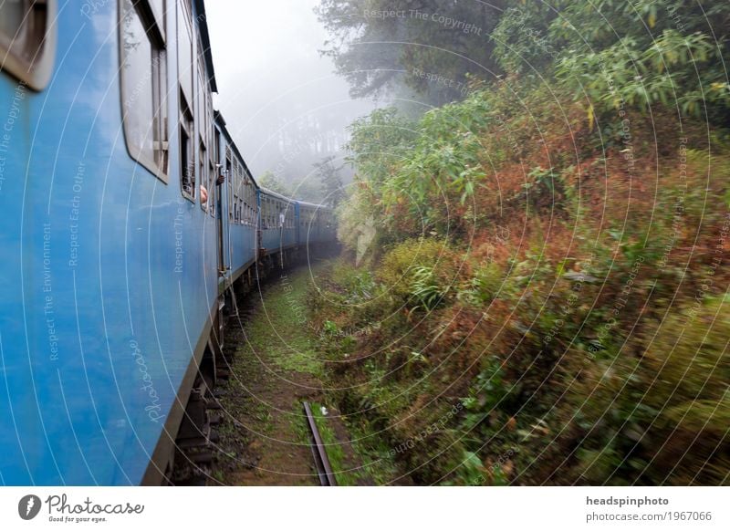 Train ride through fog in Sri Lanka Virgin forest Hill Mountain Passenger traffic Public transit Train travel Rail transport Engines Driving Vacation & Travel