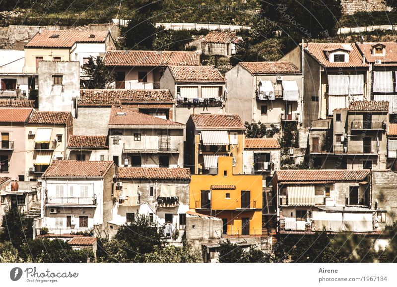 brave, brave... Living or residing House (Residential Structure) Dream house Redecorate Italy Sicily Village Small Town Outskirts Facade Painting (action, work)