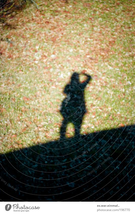down there up here. Contentment Garden Park Meadow Stand Shadow play Exterior shot Copy Space top Copy Space bottom Light Blur Shallow depth of field Silhouette