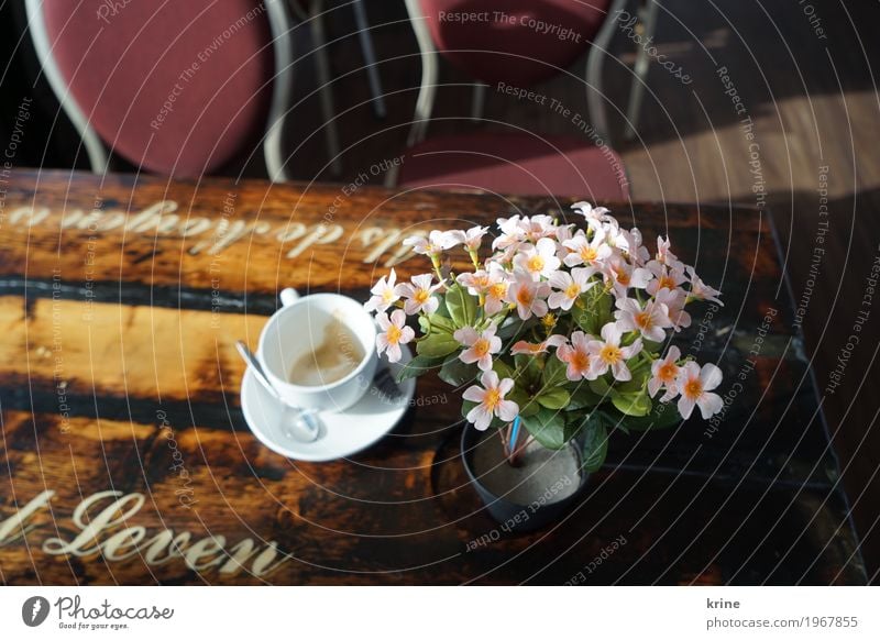 coffee time Coffee Cappuccino Cup Vacation & Travel Trip Blossoming Original Pink plastic flower Artificial Artificial flowers Empty Café Netherlands Life