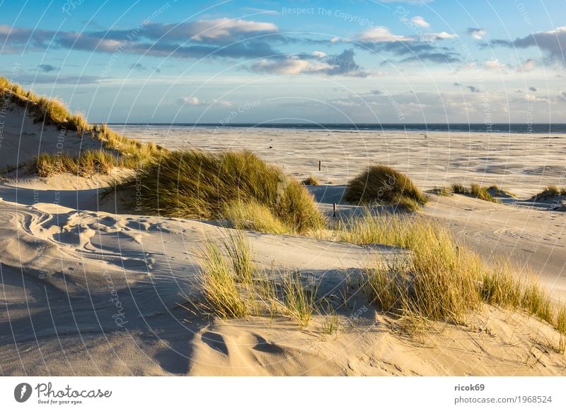 Landscape with dunes on the island of Amrum Relaxation Vacation & Travel Tourism Beach Ocean Island Nature Sand Clouds Autumn Coast North Sea Blue Yellow Dune