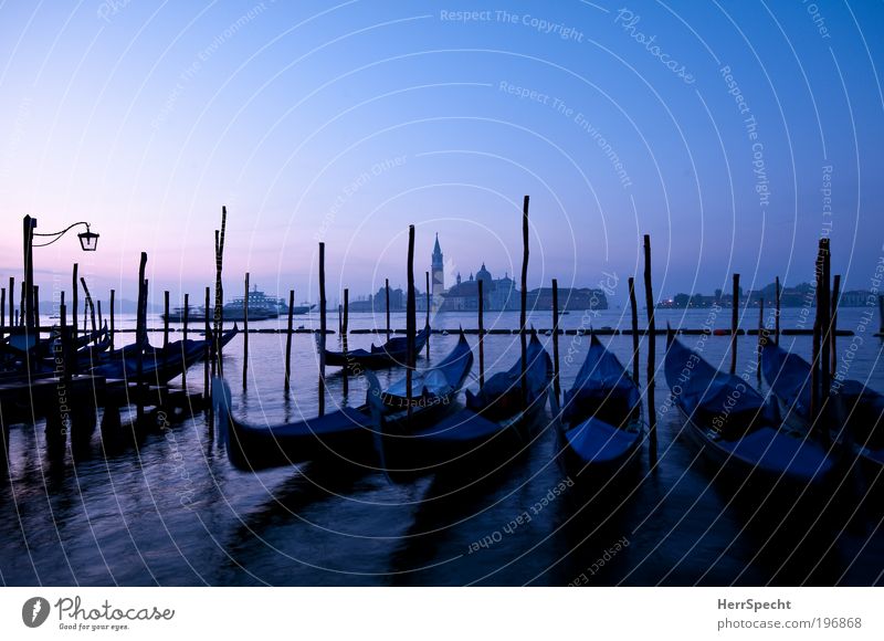 Blue hour Water Sky Cloudless sky Beautiful weather Waves Coast Ocean Adriatic Sea Island Venice Town Old town Deserted Church Harbour Tourist Attraction