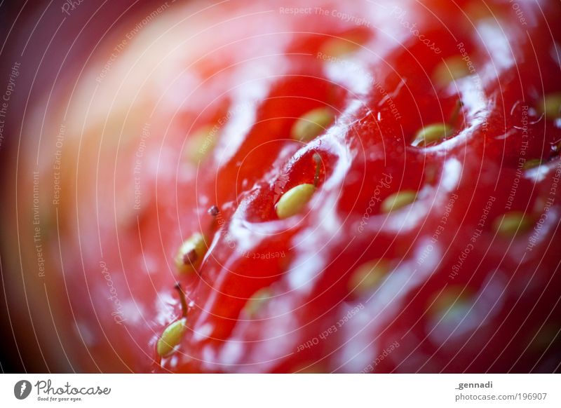 EEEEE Strawberry Fruit Macro (Extreme close-up) Red Delicious Colour photo Deserted Copy Space left Contrast Shallow depth of field