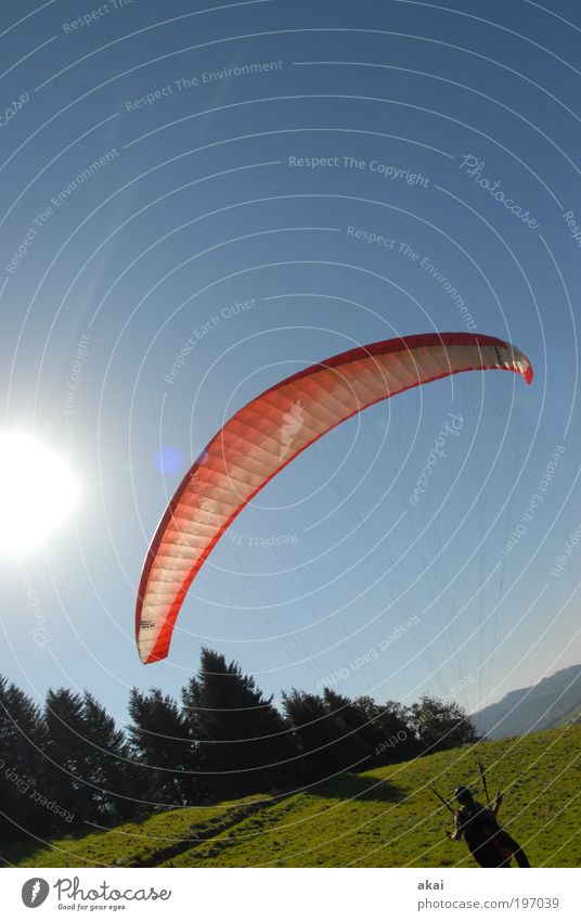Oblique bird paraglider wind up exercises Lifestyle Joy Happy Leisure and hobbies Summer Summer vacation Mountain Sports Pilot Aviation Man Adults Environment