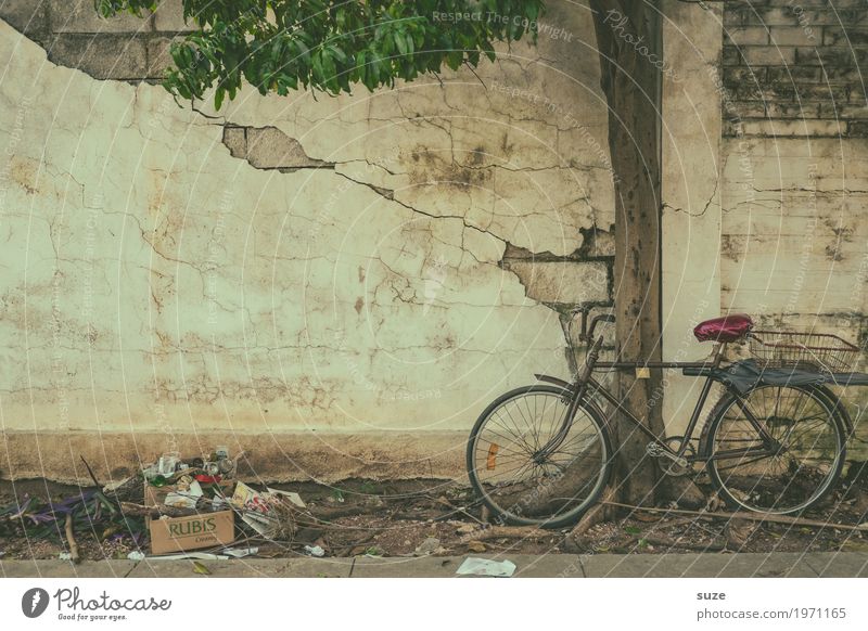 Wheel of time City trip Bicycle Culture Tree Town Outskirts Old town Facade Poverty Dirty Broken Cute Retro Gloomy Dry Logistics Past Transience Change Time