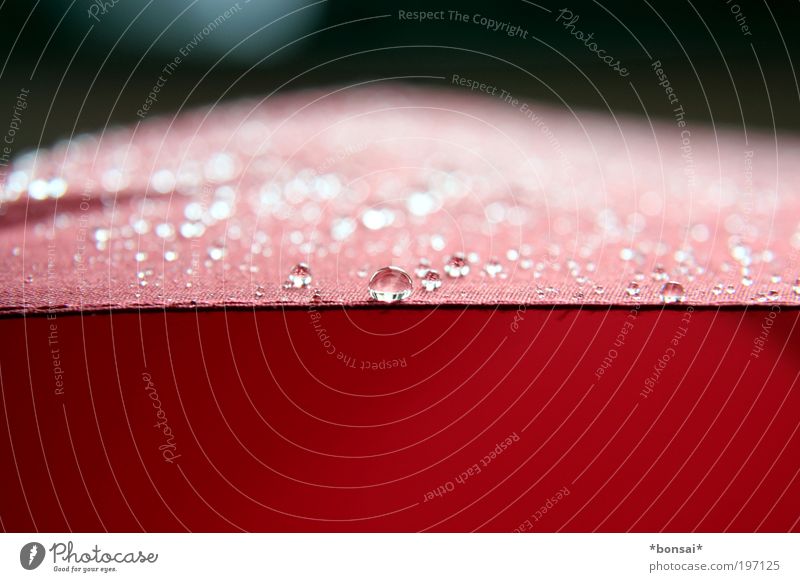raindrops not falling on my head Drops of water Rain Umbrella Line Fluid Wet Red Protection Weather Cloth Waterproofing Stitching Colour photo Interior shot