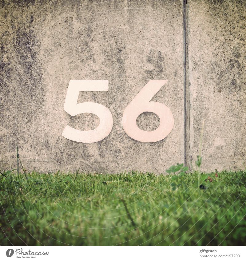 barium Plant Grass Meadow Wall (barrier) Wall (building) Gray Green 56 fifty-six Digits and numbers Arrangement neat Metal accrual system Sequence Jubilee Seam