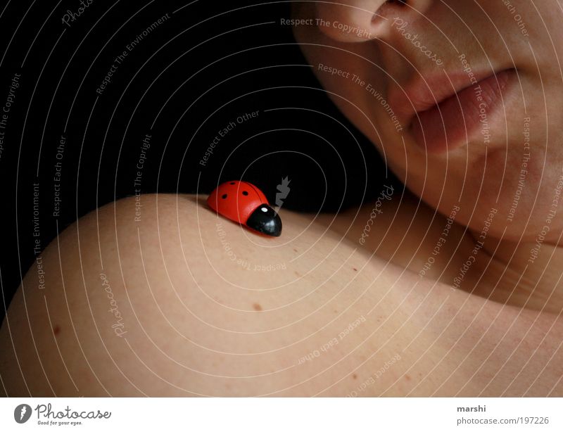 Little Friend Human being Feminine Young woman Youth (Young adults) Woman Adults Skin Face 1 Red Emotions Moody Ladybird Animal Mouth Friendship Beetle Shoulder