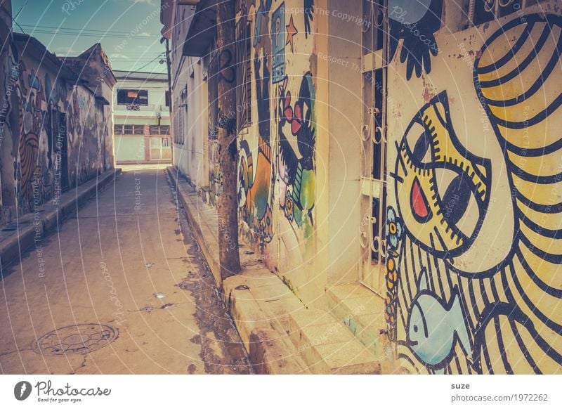 The laughing lane City trip House (Residential Structure) Art Culture Youth culture Town Outskirts Old town Facade Cat Graffiti Poverty Dirty Happiness Cute