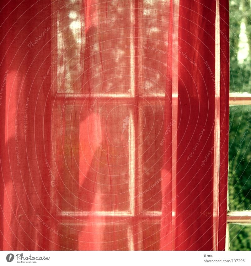 Winter garden in spring Sun Warmth Tree Window Crucifix Green Red Infatuation Mysterious Curtain Drape Textiles Airy glazing bar angle of incidence Delicate