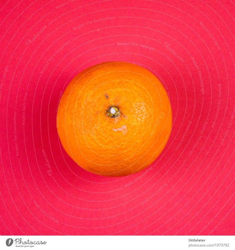 cheerful orange Fruit Orange Eating Breakfast Organic produce Vegetarian diet Diet Exotic Happiness Fresh Healthy Pink Red Beautiful Delicious Sour Effervescent