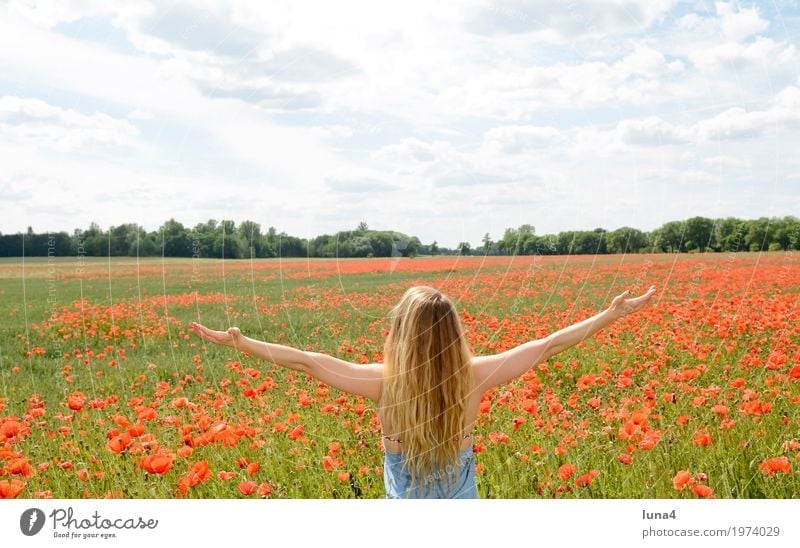 Woman in poppy field Joy Happy Harmonious Contentment Relaxation Calm Summer Summer vacation Sun Success Feminine Young woman Youth (Young adults) Adults 1
