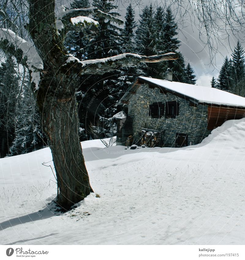 postcard Lifestyle Style Harmonious Calm Winter Snow Winter vacation Mountain Living or residing Flat (apartment) House (Residential Structure) Dream house
