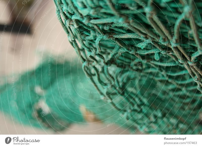 net.plant Ocean Closing time Knot Net Network Green Colour photo Exterior shot Deserted Day