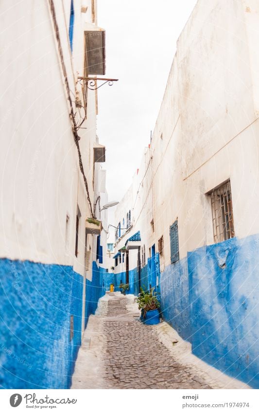 Rabat Village Town Old town Deserted Wall (barrier) Wall (building) Facade Blue White Morocco Alley Mediterranean Colour Colour photo Exterior shot Day