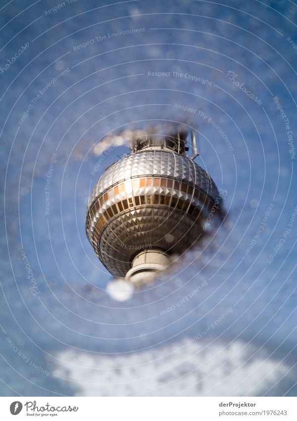 TV tower in Berlin in a puddle reflection I Pattern Abstract Urbanization Capital city Copy Space right Copy Space left Cool (slang) Copy Space middle