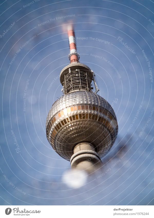 TV tower in Berlin in a puddle reflection II Pattern Abstract Urbanization Capital city Copy Space right Copy Space left Cool (slang) Copy Space middle