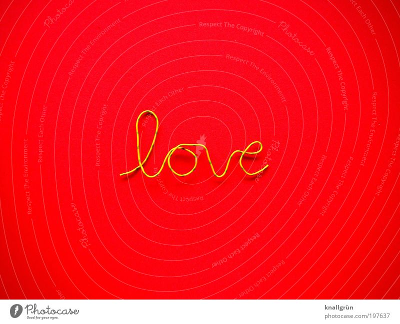 just a word Characters Yellow Green Red Emotions Love Relationship Wire fiery red Colour photo Multicoloured Studio shot Close-up Deserted Copy Space left