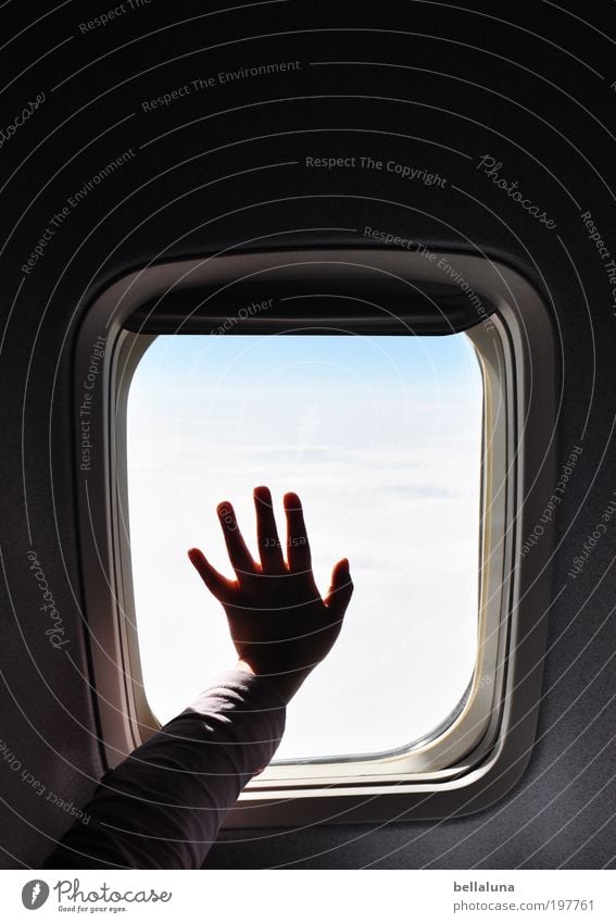Adiòs Human being Infancy Life Arm Hand Fingers To hold on Flying Vacation & Travel Airplane Window Airplane window Clouds Clouds in the sky Cloud cover Sky