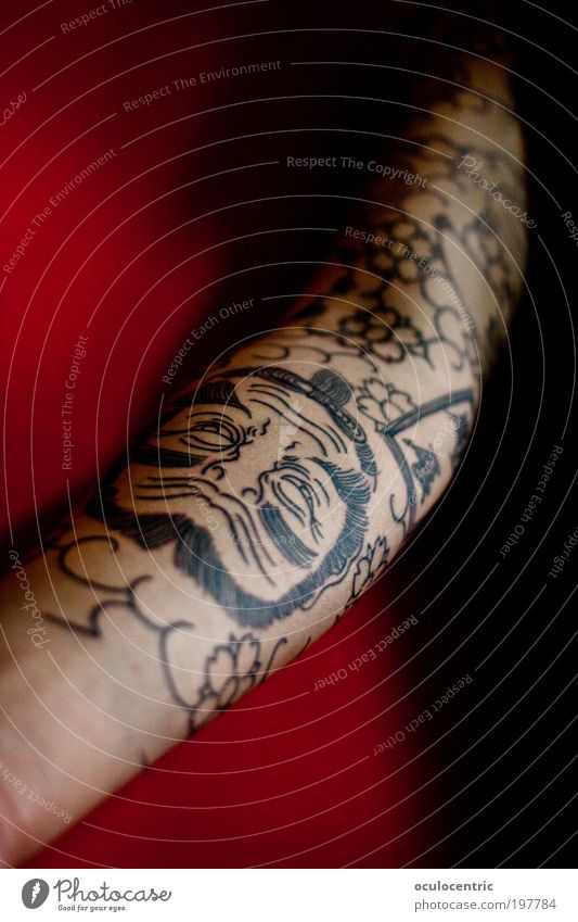 Twoface Human being Masculine Young man Youth (Young adults) Skin Arm 1 18 - 30 years Adults Original Red Black Willpower Brave Passion Tattoo sleeve robcore