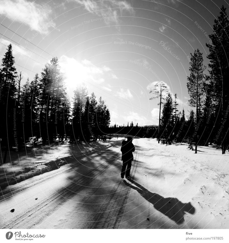 direction kittilä Vacation & Travel Tourism Trip Adventure Far-off places Freedom Winter Snow Winter vacation Hiking Human being Masculine 1 Nature Sky