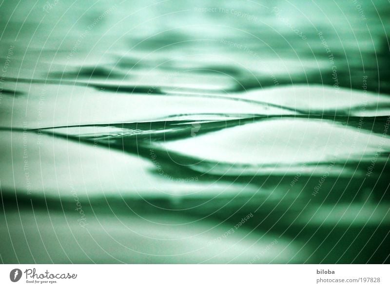 waves Environment Nature Elements Water Summer Green White Waves Structures and shapes Background picture Relaxation Calm Comforting Smooth Lake biloba