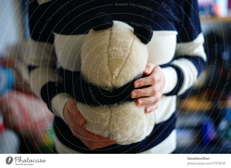 Suboptimal camouflage Human being Partner 1 Animal Cuddly toy Touch Relaxation To hold on Love Free Happiness Warmth Soft Blue White Contentment Panda
